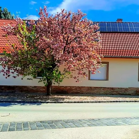 Frühstückspension Vidakovics Panzio 3*