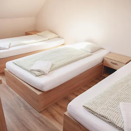 B&B Vidakovics Panzio